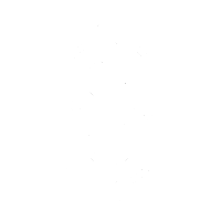 Category Icon